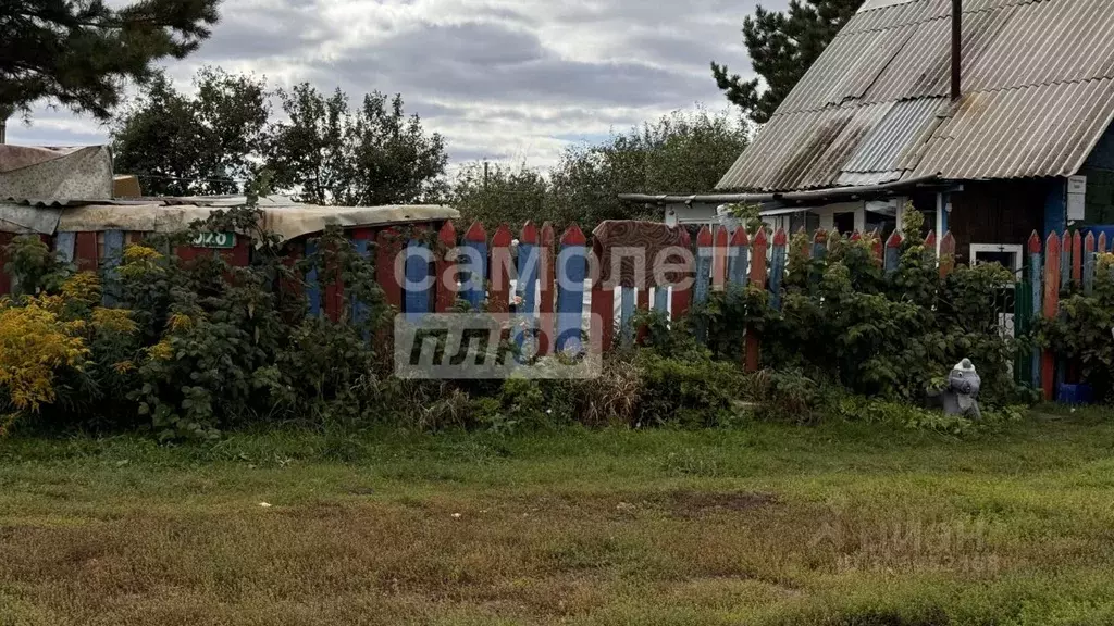 участок в татарстан, альметьевский район, с. новое каширово (11.62 . - Фото 1