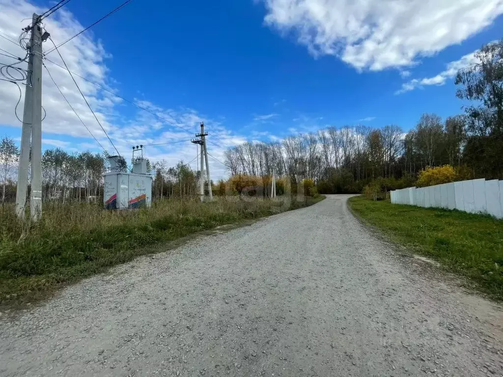 Участок в Новосибирская область, Тогучин Лесная ул. (15.0 сот.) - Фото 1