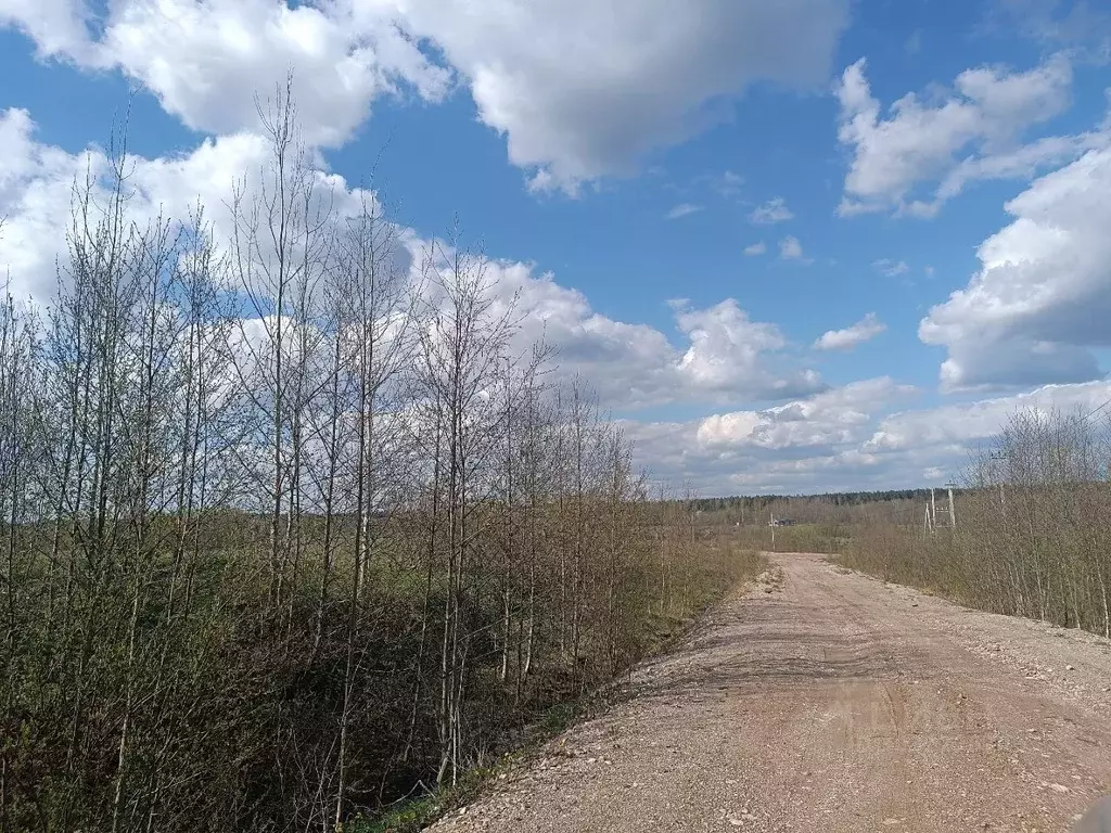 Участок в Новгородская область, Новгородский район, Бронницкое с/пос, ... - Фото 0