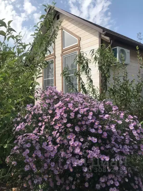 Дом в Краснодарский край, Мостовской пгт ул. Горького, 25Б (25 м) - Фото 1