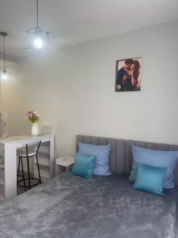 Студия Санкт-Петербург Витебский просп., 99к1 (25.0 м) - Фото 1