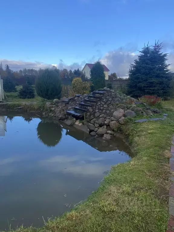 Участок в Псковская область, Плюсский муниципальный округ, д. Андромер ... - Фото 1