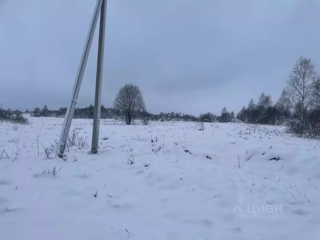 Участок в Московская область, Можайский городской округ, д. Никитино  ... - Фото 1