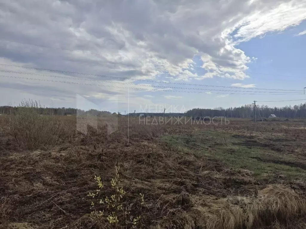 Участок в Тюменская область, Тюменский район, с. Кулига, Кулига-2 мкр  ... - Фото 0