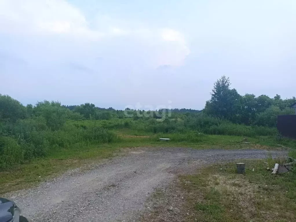 Участок в Хабаровский край, Хабаровский район, с. Мирное Рабочая ул. ... - Фото 1