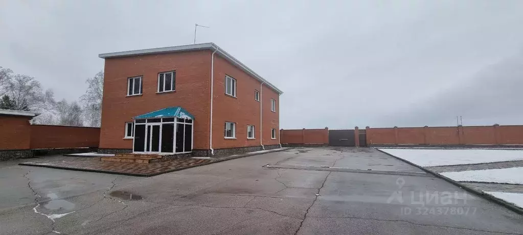 Участок в Новосибирская область, Колыванский район, д. Юрт-Ора ул. ... - Фото 2