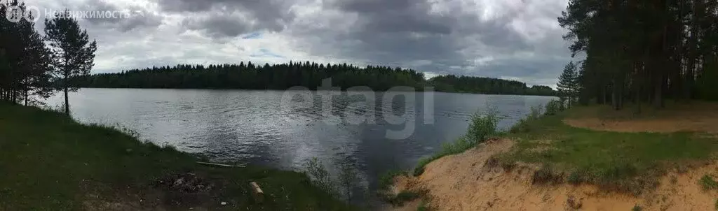 Участок в Вологодская область, Устюженский муниципальный округ, ... - Фото 0