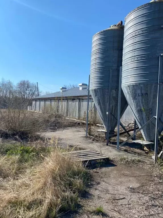 Производственное помещение в Саратовская область, Бартоломеевский хут. ... - Фото 0