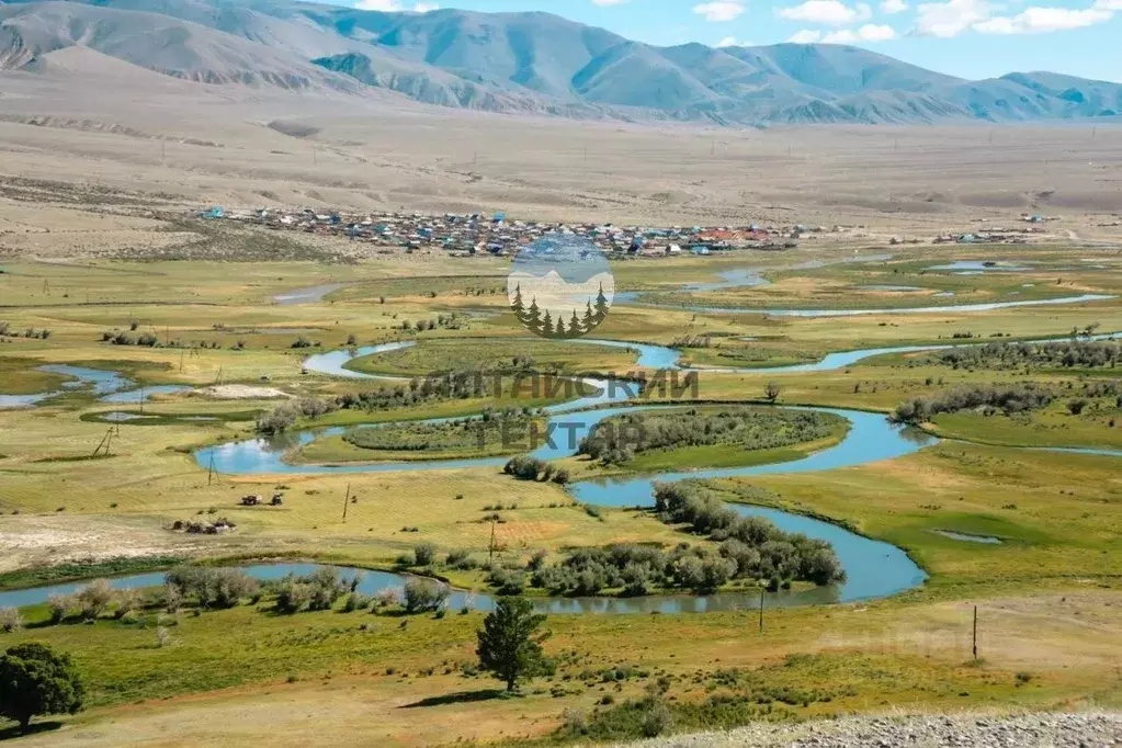 Участок в Алтай, Кош-Агачский район, с. Ортолык ул. Кокышева (10.0 ... - Фото 0