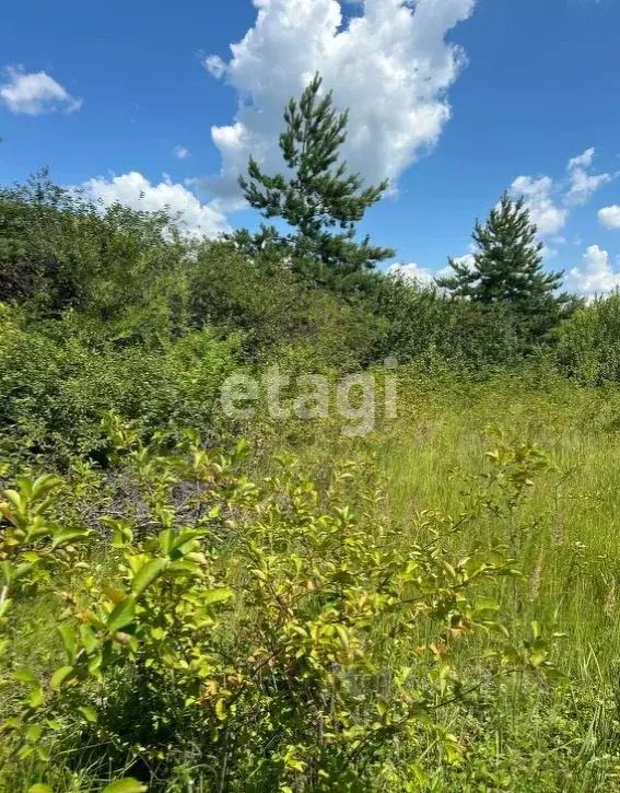 Участок в Липецкая область, Липецкий муниципальный округ, с. Подгорное ... - Фото 2