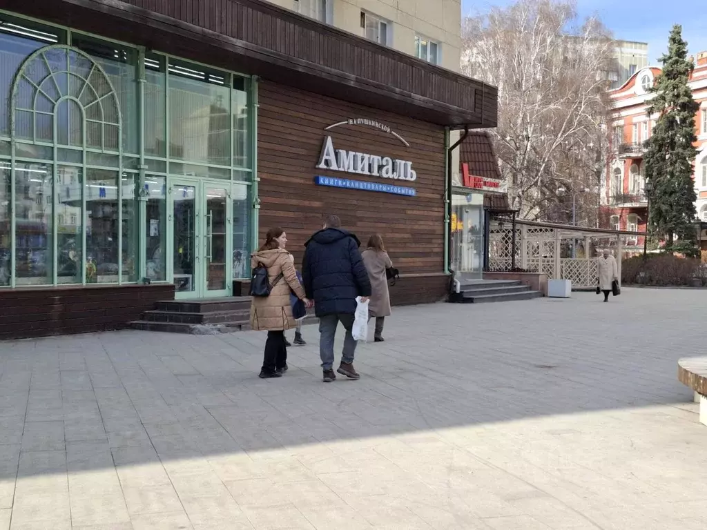 1-к кв. Воронежская область, Воронеж Пушкинская ул., 2 (27.8 м) - Фото 0