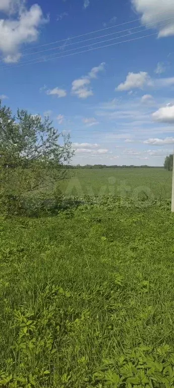 Участок 15 сот. (ИЖС) - Фото 1