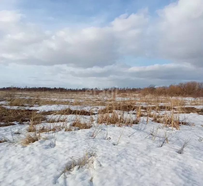 Участок в Сахалинская область, Анивский городской округ, с. Мицулевка  ... - Фото 1