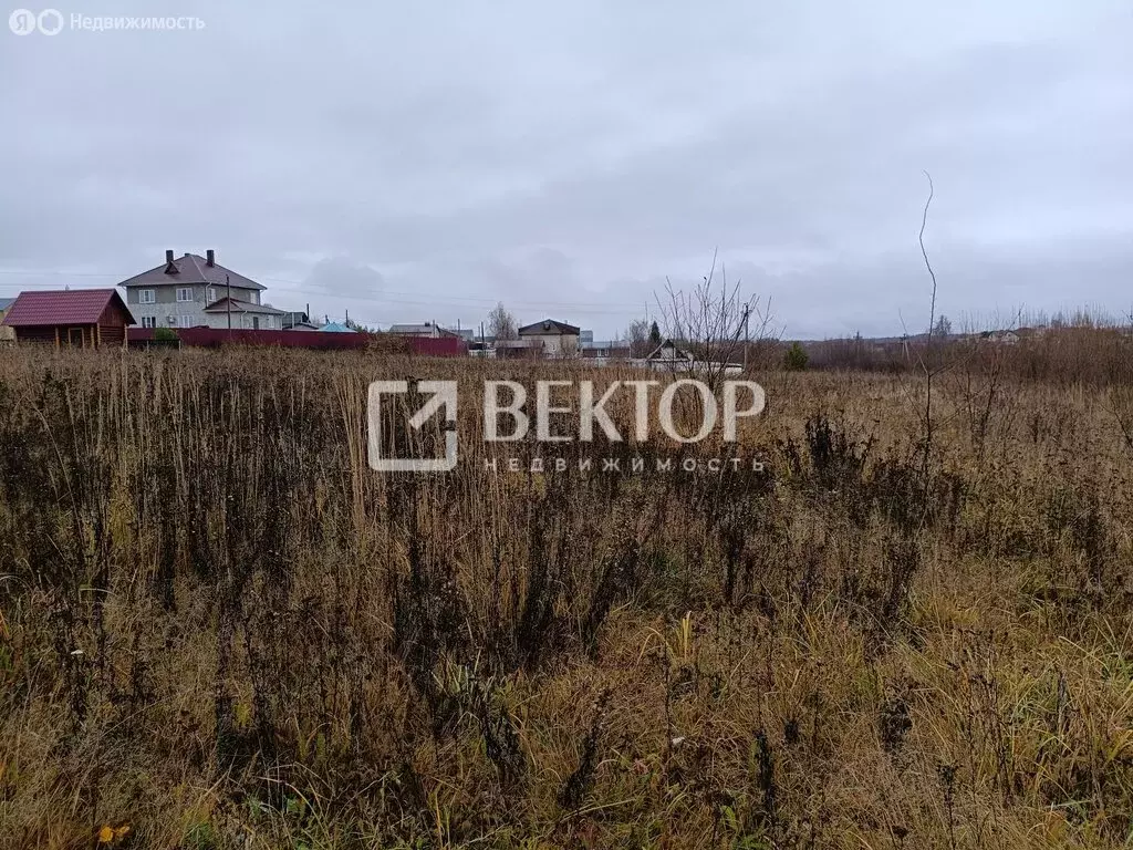 Участок в Костромской район, Никольское сельское поселение, посёлок ... - Фото 2