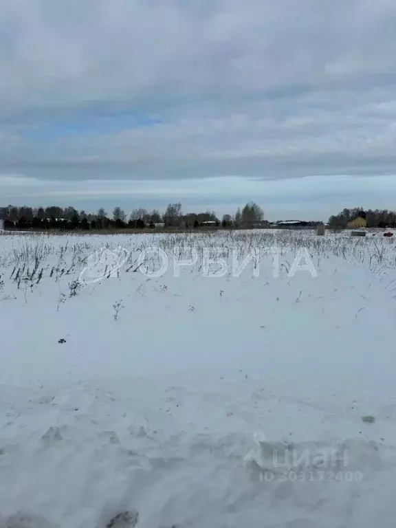 Участок в Тюменская область, Тюменский район, д. Черная Речка  (130.0 ... - Фото 1