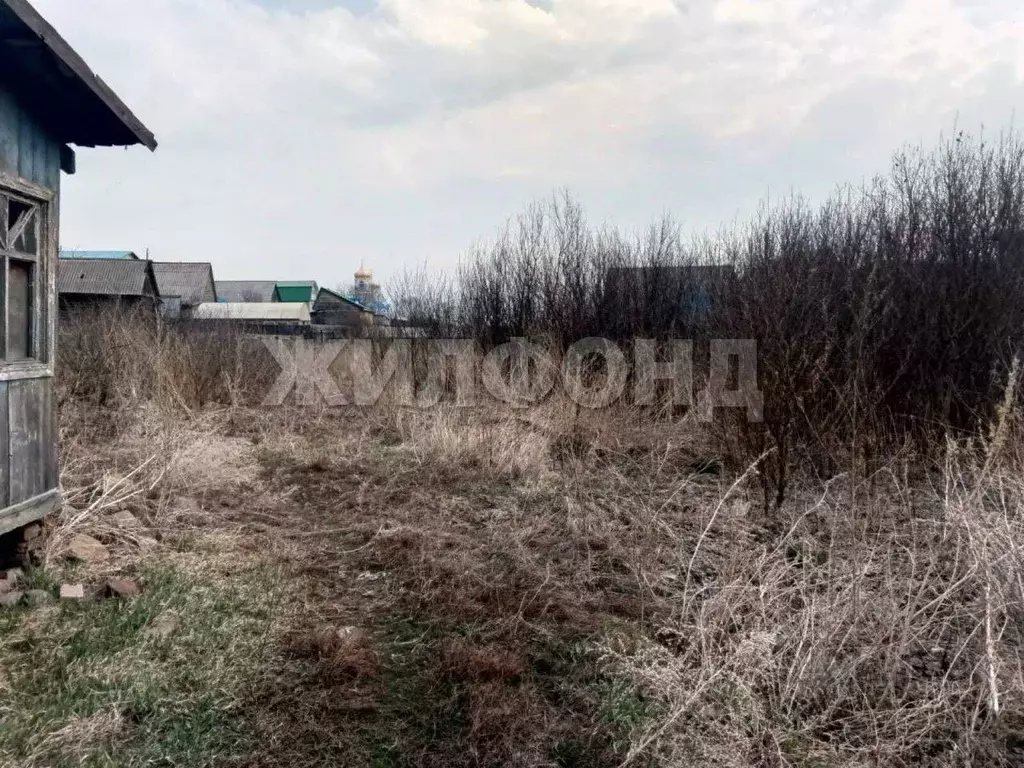 Дом в Новосибирская область, Колывань рп ул. Сергиенко (40 м) - Фото 1