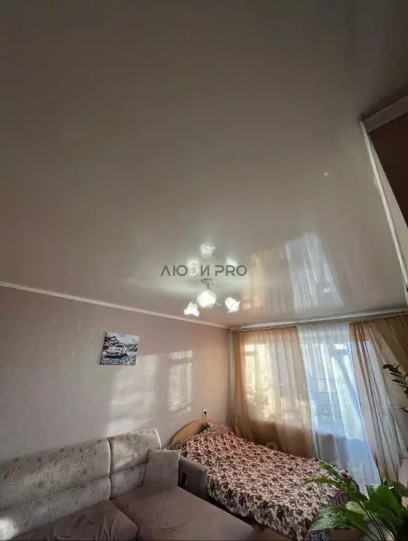 2-к кв. Алтайский край, Барнаул Телефонная ул., 44 (41.0 м) - Фото 2