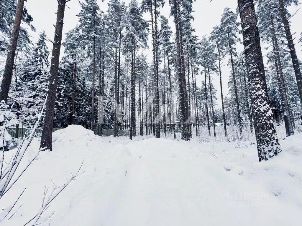 Участок, 37.8 сот., сельхоз (снт или днп) - Фото 0