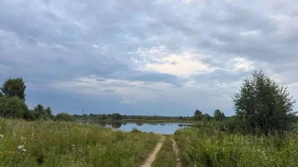 Участок в Тверская область, Кимрский муниципальный округ, д. Михеево ... - Фото 2