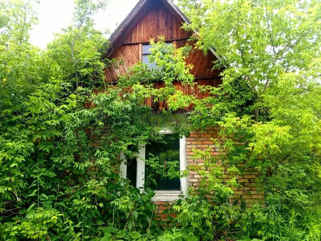 Участок в Пензенская область, Пенза Березка севернее мкр. Ахуны СНТ,  ... - Фото 0