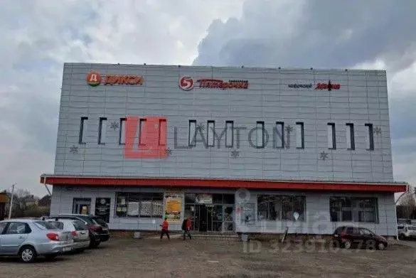 Торговая площадь в Московская область, Истра муниципальный округ, д. ... - Фото 2