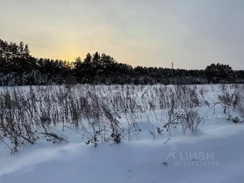 Участок в Тюменская область, Тюменский муниципальный округ, с. ... - Фото 2