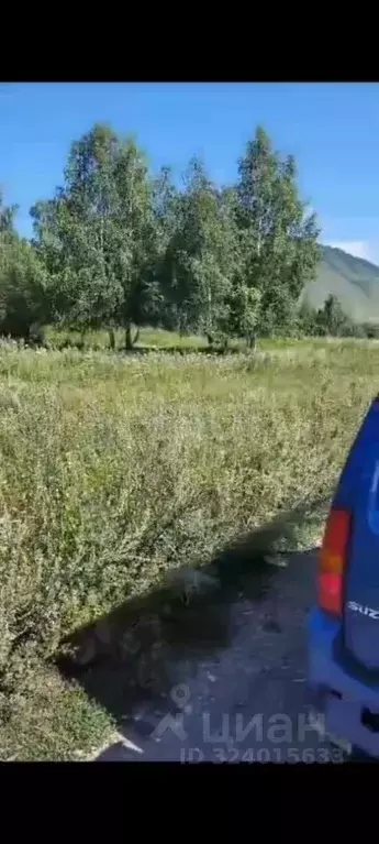 Участок в Алтай, Усть-Коксинский район, с. Чендек  (10.0 сот.) - Фото 1