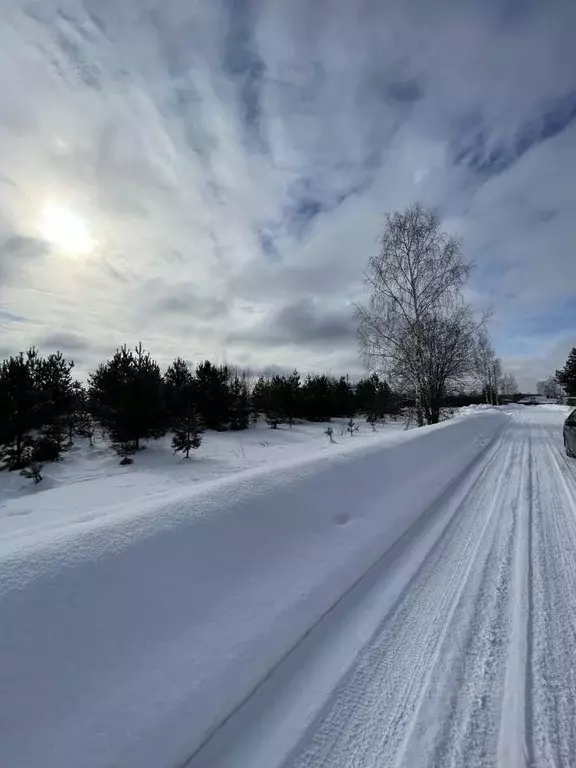 Участок в Ивановская область, Ивановский муниципальный округ, д. ... - Фото 2
