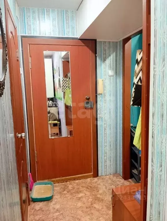 Студия Ярославская область, Ярославль Северный жилрайон, ул. Елены ... - Фото 1