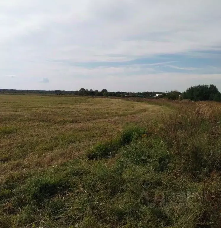Участок в Московская область, Орехово-Зуевский городской округ, д. ... - Фото 1