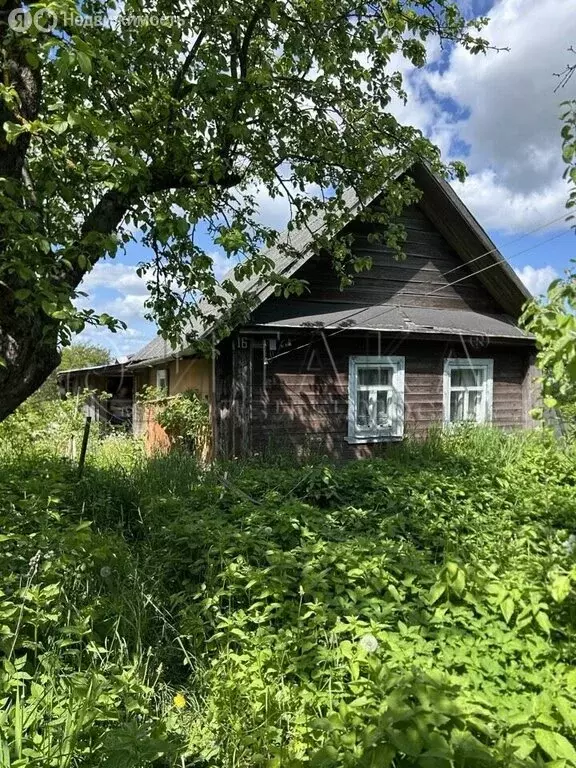 Дом в Аннинское городское поселение, деревня Капорское (29.6 м) - Фото 1