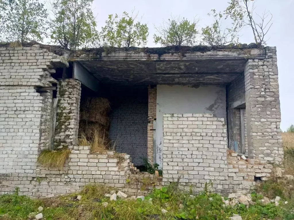 Гараж в Пермский край, Березники муниципальный округ, с. Щекино ул. ... - Фото 2