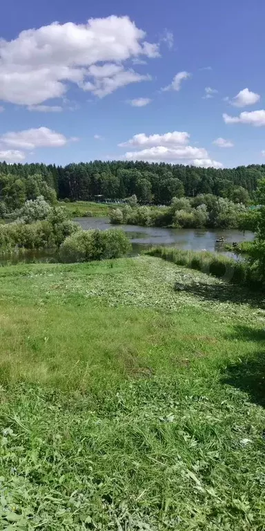 Участок 18 сот. (ИЖС) - Фото 0
