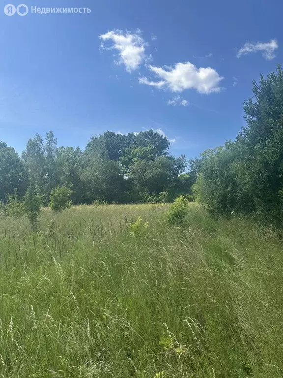 Участок в Московская область, городской округ Серпухов, деревня ... - Фото 0