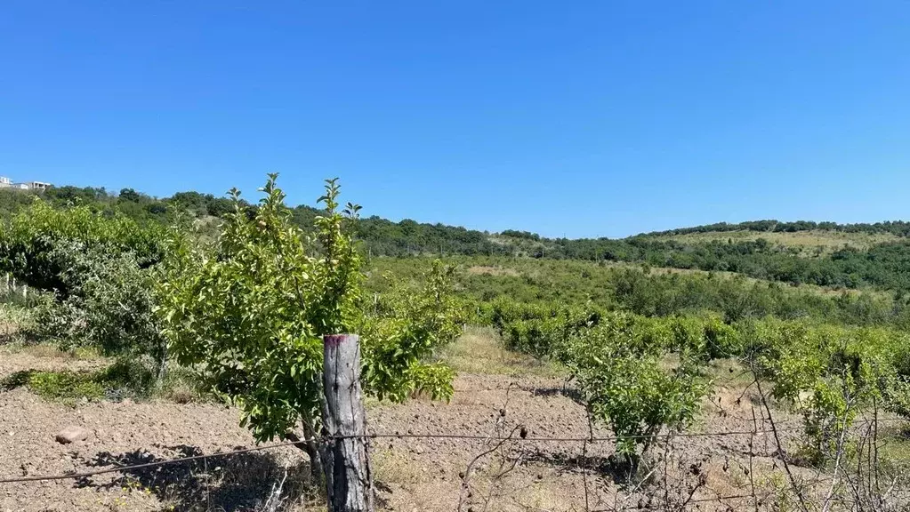 Участок в Крым, Алушта городской округ, с. Лучистое  (9.78 сот.) - Фото 1