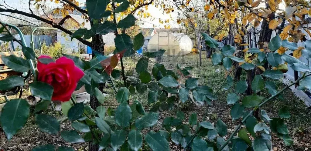 Участок в городское поселение Новосемейкино, дачный массив Сокский, ... - Фото 0