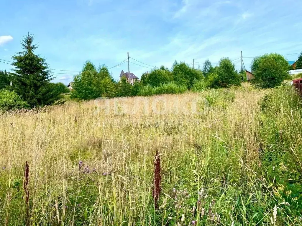 Участок в Пермский край, Березники муниципальное образование Город, с. ... - Фото 1