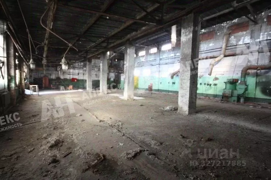 Производственное помещение в Московская область, Электросталь ул. ... - Фото 1