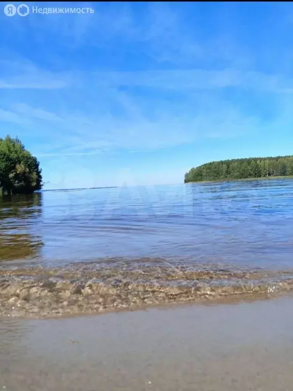 Участок в Нижегородская область, муниципальный округ Сокольский, ... - Фото 1