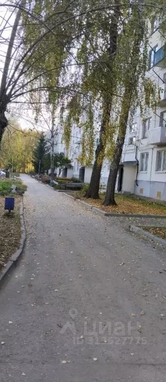 3-к кв. Рязанская область, Чучково рп ул. Сосновая, 3 (56.4 м) - Фото 0