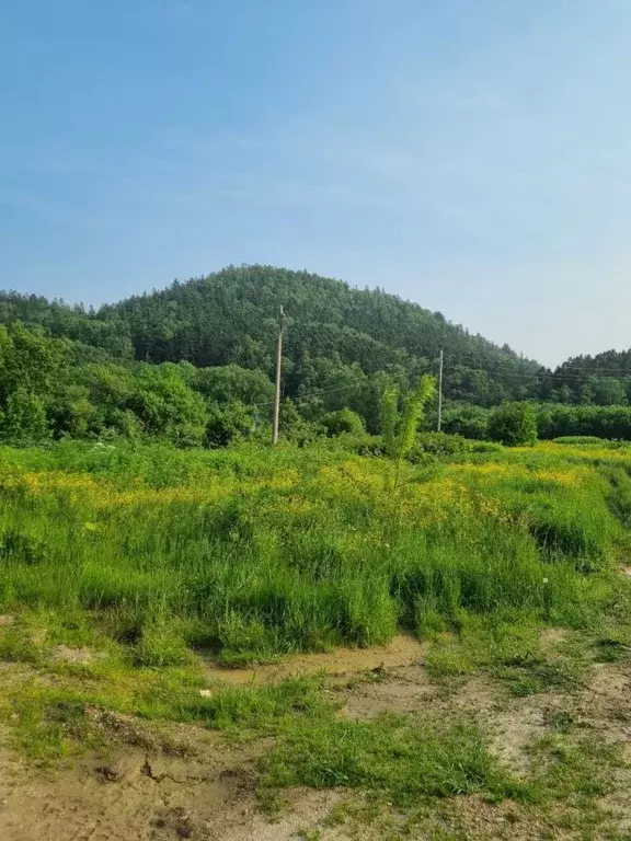 Участок в Сахалинская область, Корсаковский городской округ, с. Лесное ... - Фото 1