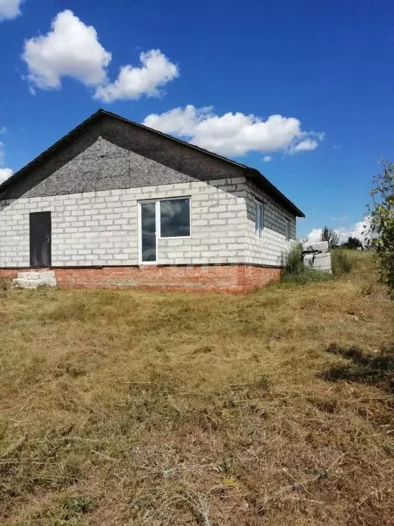 Дом в Белгородская область, Шебекинский городской округ, с. Дмитриевка ... - Фото 1