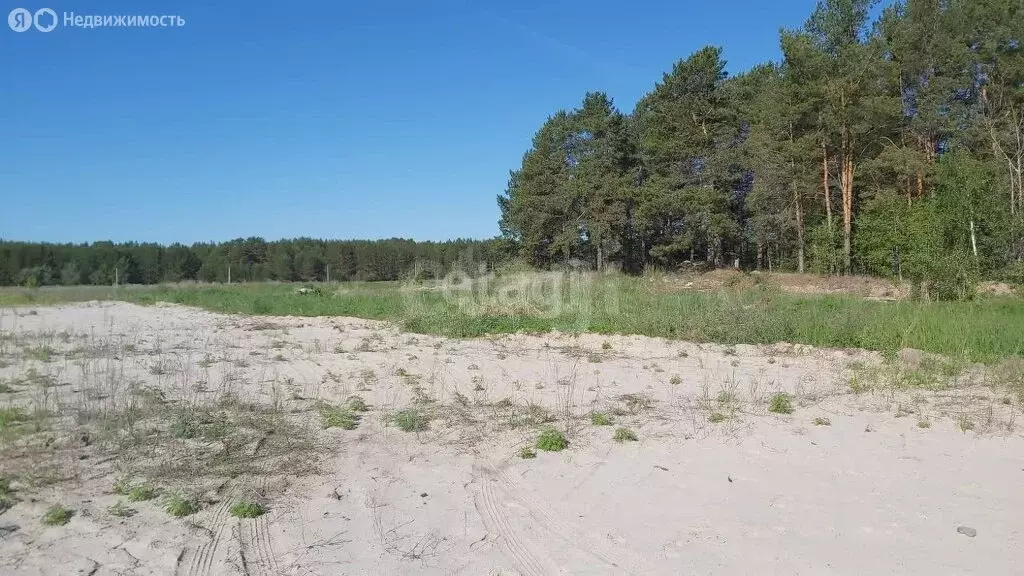 Участок в Тюменский район, деревня Криводанова (51.07 м) - Фото 1