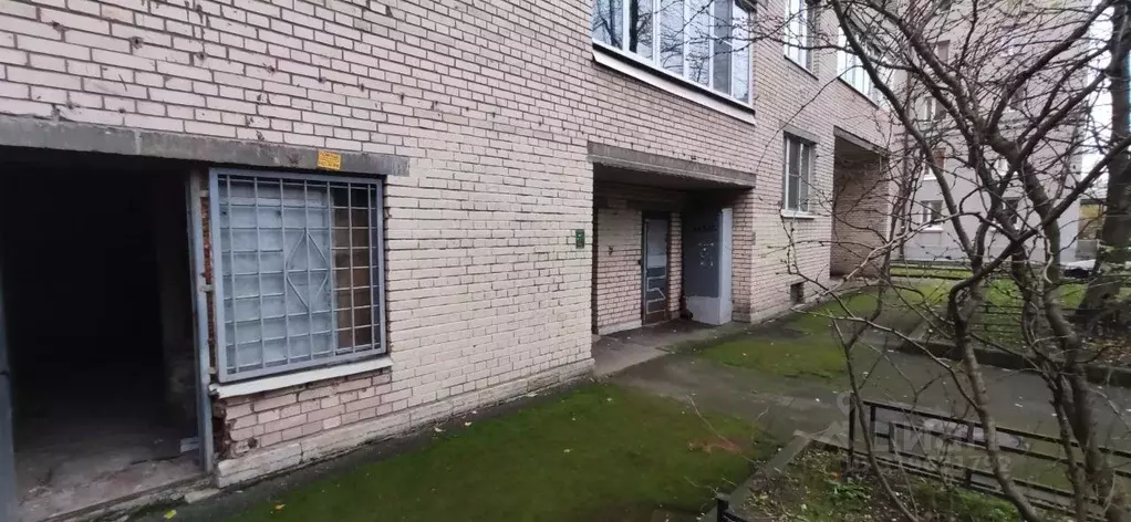 Офис в Санкт-Петербург ул. Шевченко, 23к1 (221 м) - Фото 1