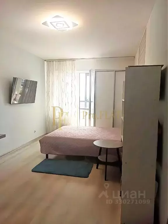 Студия Санкт-Петербург просп. Ветеранов, 173к1 (24.6 м) - Фото 1