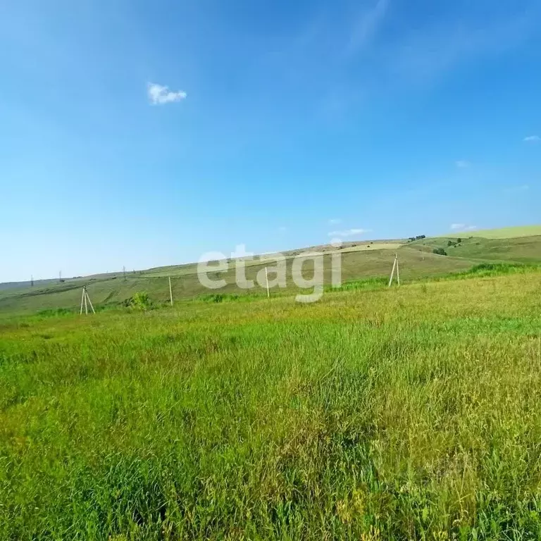 Участок в Красноярский край, Березовский район, Зыковский сельсовет, ... - Фото 1