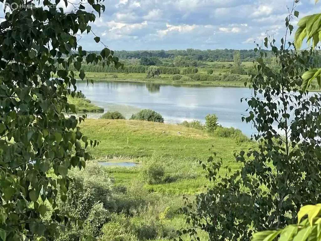 Участок в деревня Малая Ельня, Солнечная улица (14 м) - Фото 2