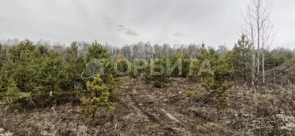 Участок в Тюменская область, Тюменский район, д. Якуши ул. А. Алиш ... - Фото 0