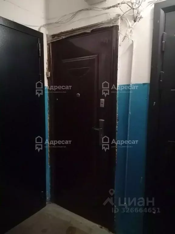 1-к кв. Волгоградская область, Волгоград Тулака мкр, ул. Аджарская, 24 ... - Фото 1