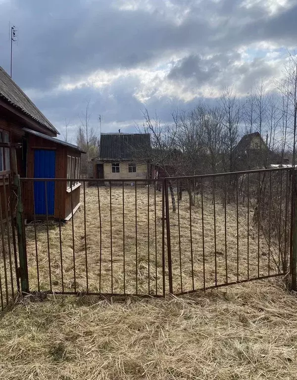 Участок в Ленинградская область, Волховский район, Кисельнинское ... - Фото 1